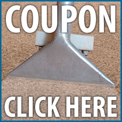 discount clean steam carpet